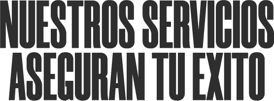 SERVICIOS DE MARKETING DIGITAL MEXICO AGENCIA